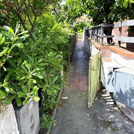 Lägenhet Stella Silvi Marina